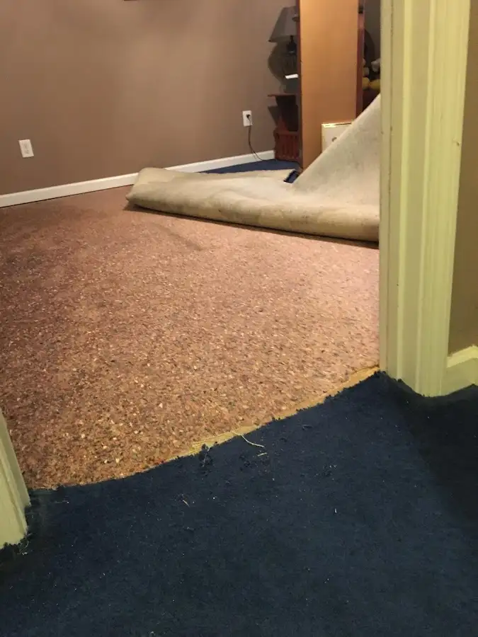 Carpet pad removal revealing water damage during Drying & Dehumidification in Doctor Phillips