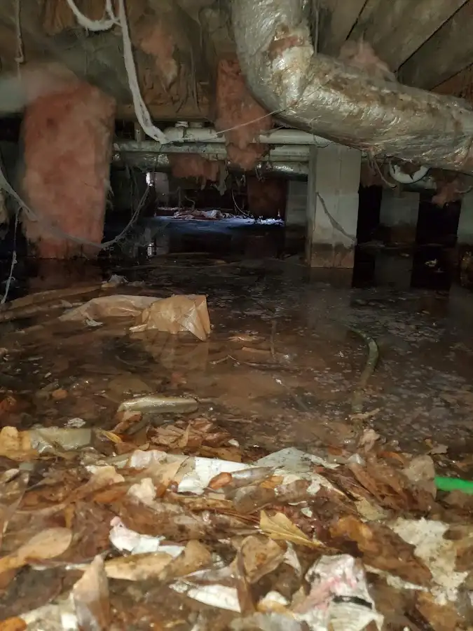 Crawl space flood assessment for Leak Detection & Repair in Doctor Phillips