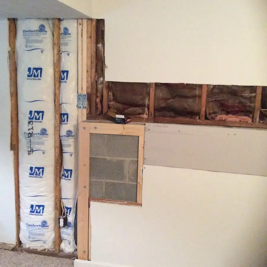 Wall insulation replacement during Odor Removal & Deodorization in Doctor Phillips
